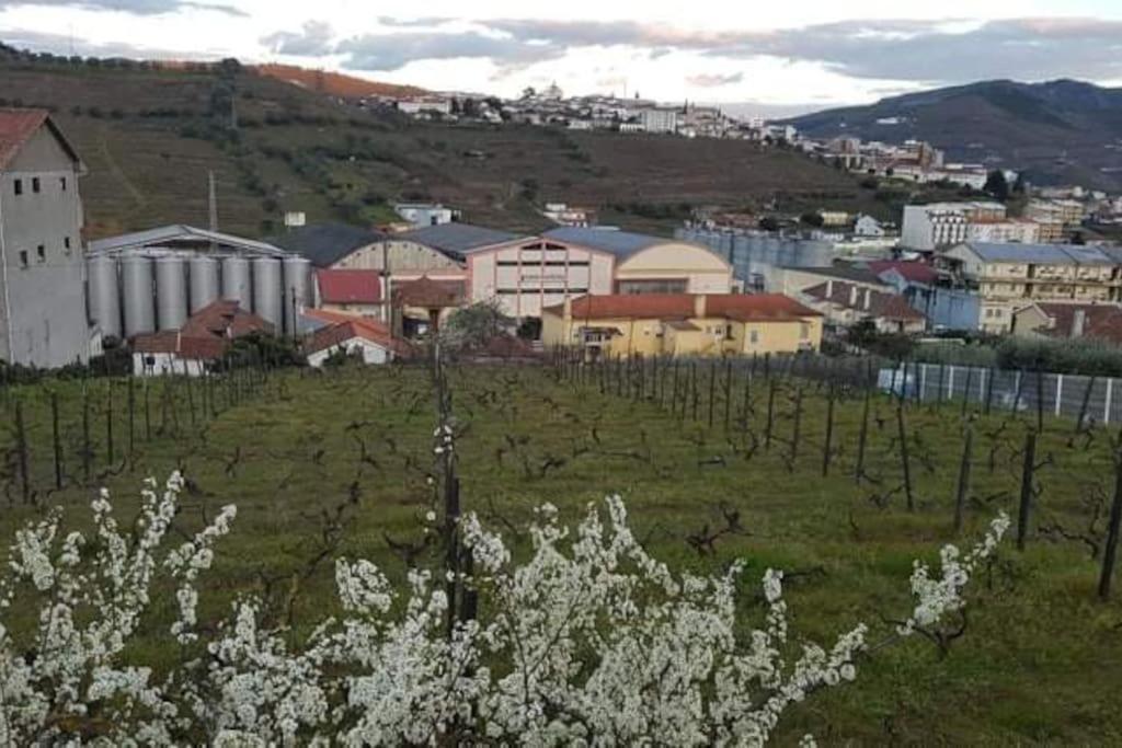 Casa Moscatel - Douro Valley Peso da Regua Exterior photo